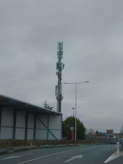 1735645385-586.jpg