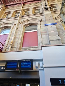 1786137951065_7axzuw.jpg