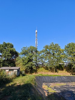 1789680344736_8nv6h9.jpg