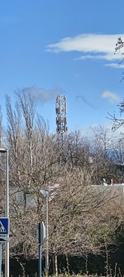 1737545308-286.jpg