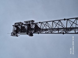 1793032872687_0zlv66.jpg