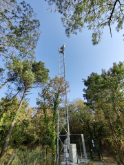 1754940962-345.jpg