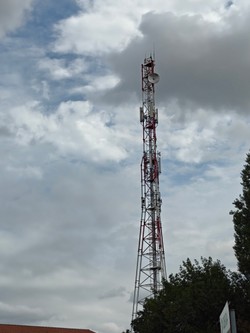 1787223937395_myomsa.jpg