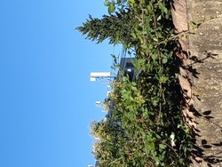 1791635720540_wgpov6.jpg