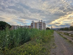 1791741643634_jzkcl8.jpg
