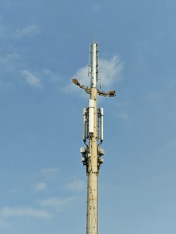 1785405721488_5csu2z.jpg