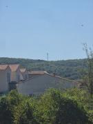 1756634707-709.jpg