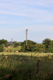 1748553629-313.jpg