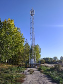 1791273625425_jf9i30.jpg