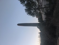 1767770771155_8tst0p.jpg