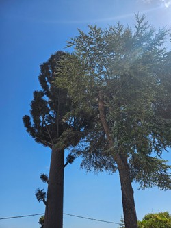 1788287830197_jad6p2.jpg