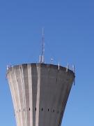 1559400011-920.jpg
