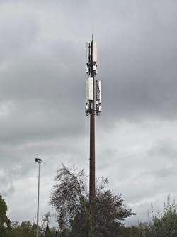 1791908794858_qt4kzf.jpg