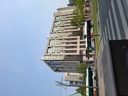 1784968593155_i16219.jpg