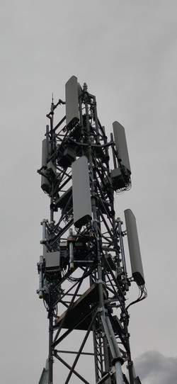 1787766732141_x2du87.jpg