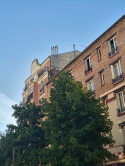 1788813482501_h66on9.jpg