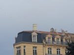1518711979_0.jpg