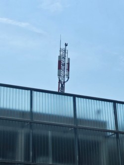 1786560107252_gs395w.jpg