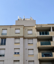 1655481309-247.jpg
