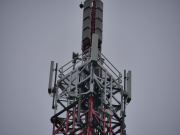 1547913303-873.jpg