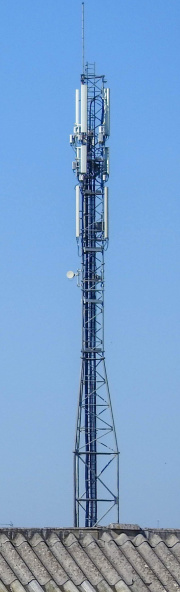 1547905295-713.jpg