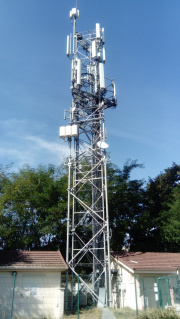 1729075195-261.jpg