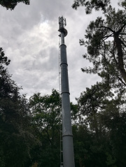 1535451346-477.jpg