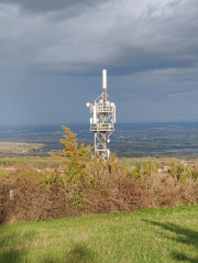 1604846118-778.jpg