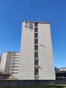 1613902729-461.jpg