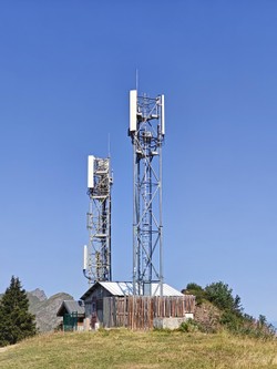 1786437814456_dtw2hy.jpg