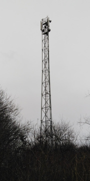 1728405217-400.jpg