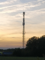 1574265761-497.jpg