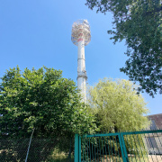 1656947884-894.jpg