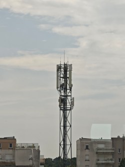 1780143375080_3wdmt5.jpg