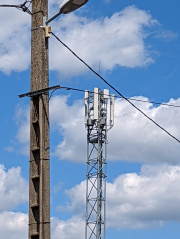 1654266460-977.jpg