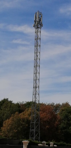 1787069950026_quahk4.jpg
