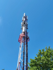 1659003451-318.jpg