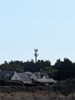 1791470763401_ks4cs8.jpg