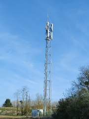 1617466431-758.jpg