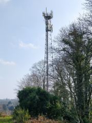 1615285299-325.jpg