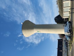 1770456677545_sqk64h.jpg