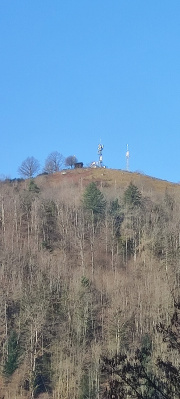1741422054-492.jpg