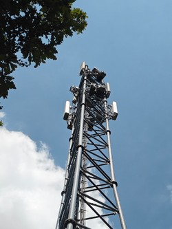 1784382281767_8ib91l.jpg
