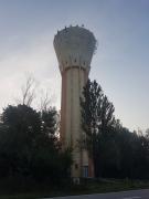 1633933088-425.jpg