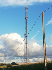 1598551901-23.jpg