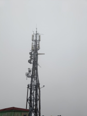 1701437932-499.jpg