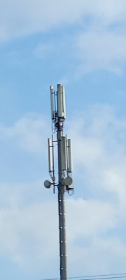 1740238777-189.jpg