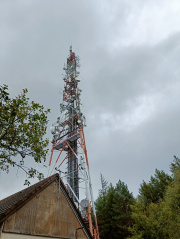 1664181503-486.jpg