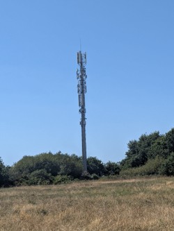 1786539697412_cjuofx.jpg