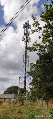 1628346161-77.jpg